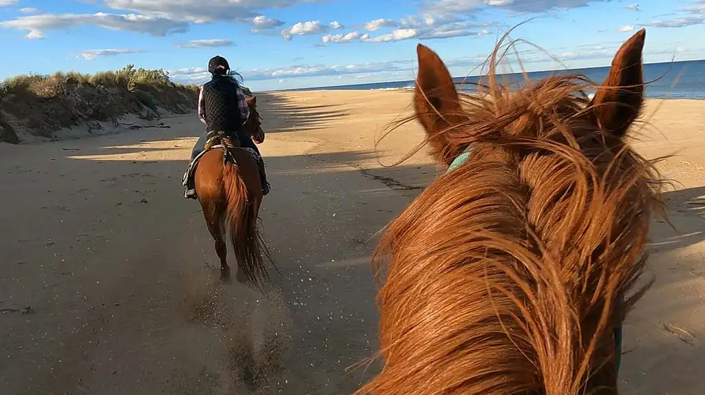 90 Mile Beach Horse Riding Campout Beginner Rider - 3 Days 2 Nights