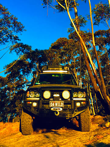 Blue Mountains Off The Beaten Track 4WD Day Adventure Deals