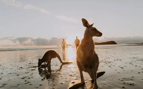 Best Tours To Do In Australia When You're Young - K'Gari