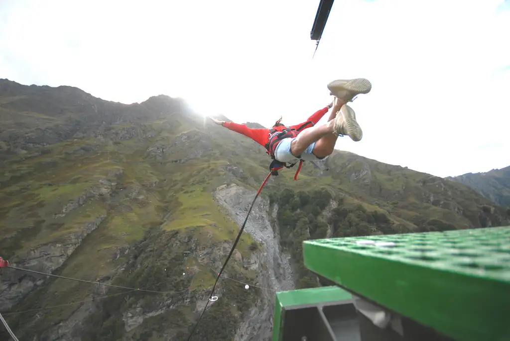Shotover Canyon Fox