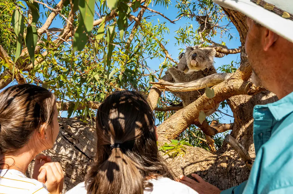 Port Lincoln Day Tour