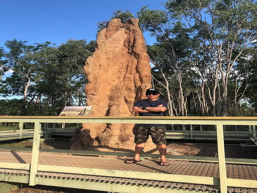 Litchfield Park Adventure with Jumping Crocodile Cruise