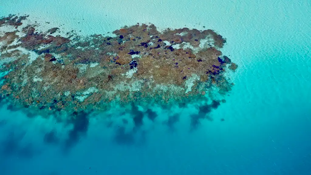 Abrolhos Islands Fast Ferry All-Day Adventure Tour
