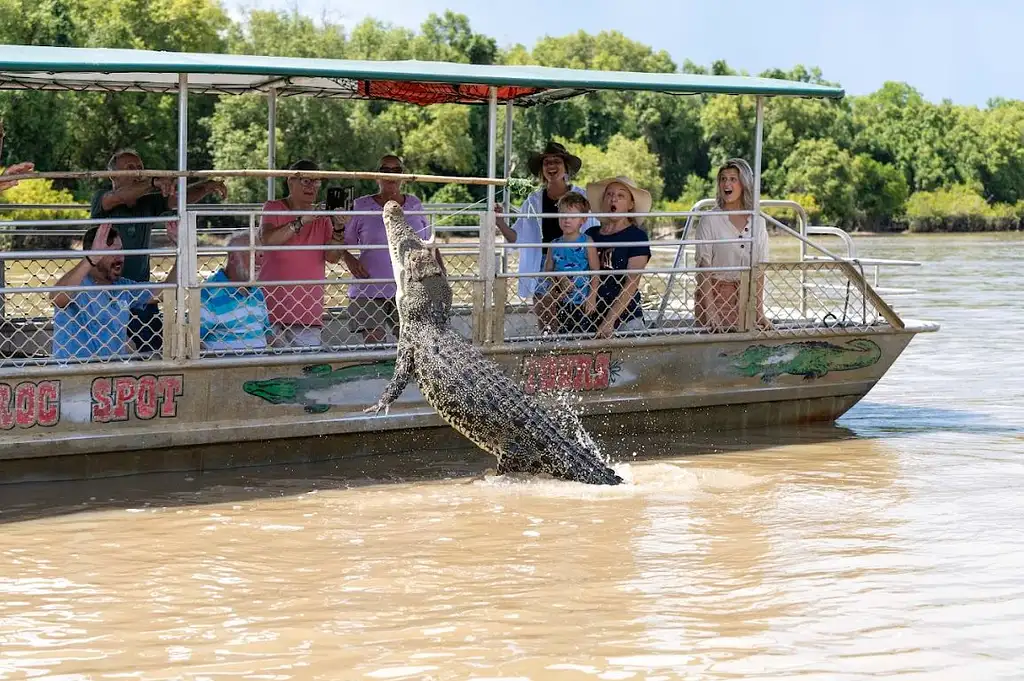 Jumping Crocodile Tour | From Darwin (BDTNT20DAY)