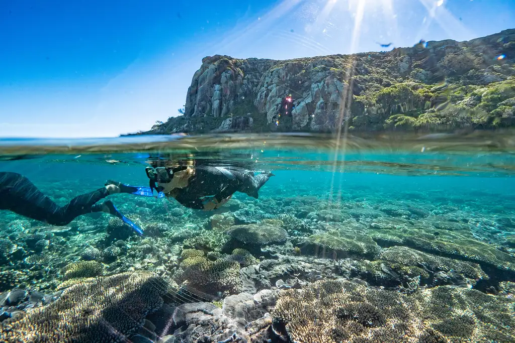 Great Keppel Island Coral & Marine Combo Tour