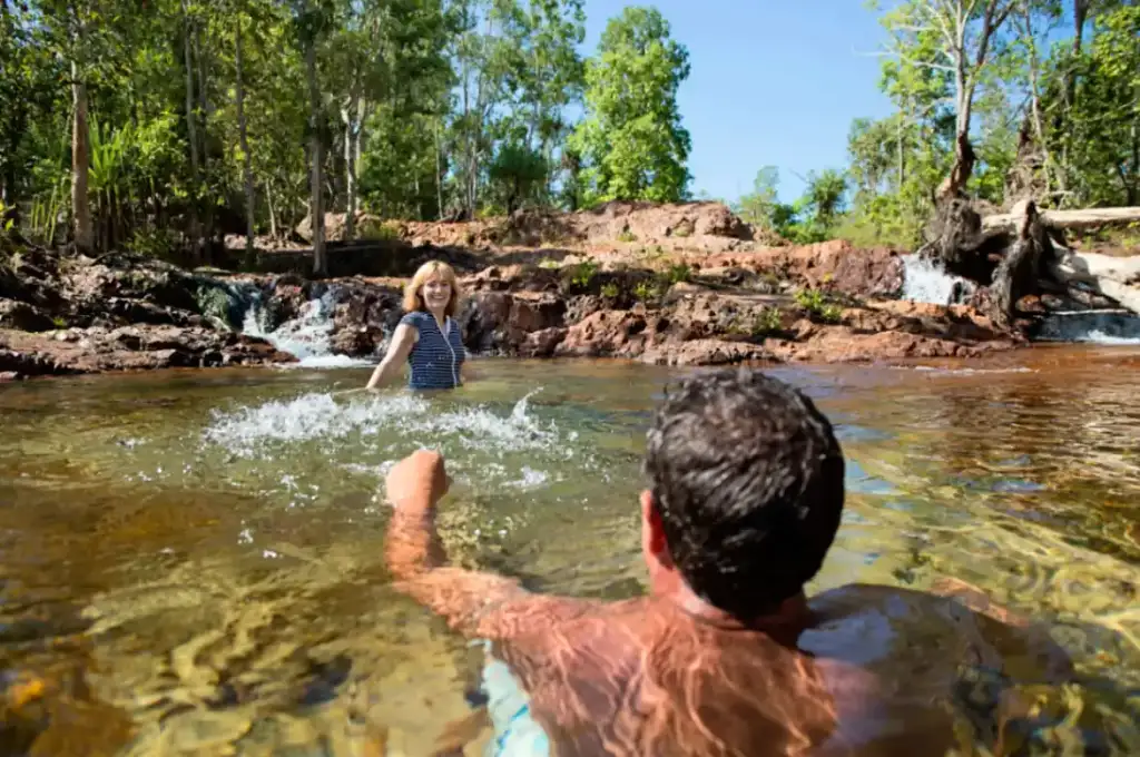 Litchfield National Park Tour | From Darwin (with Croc Cruise option)  BDTNT20DAY