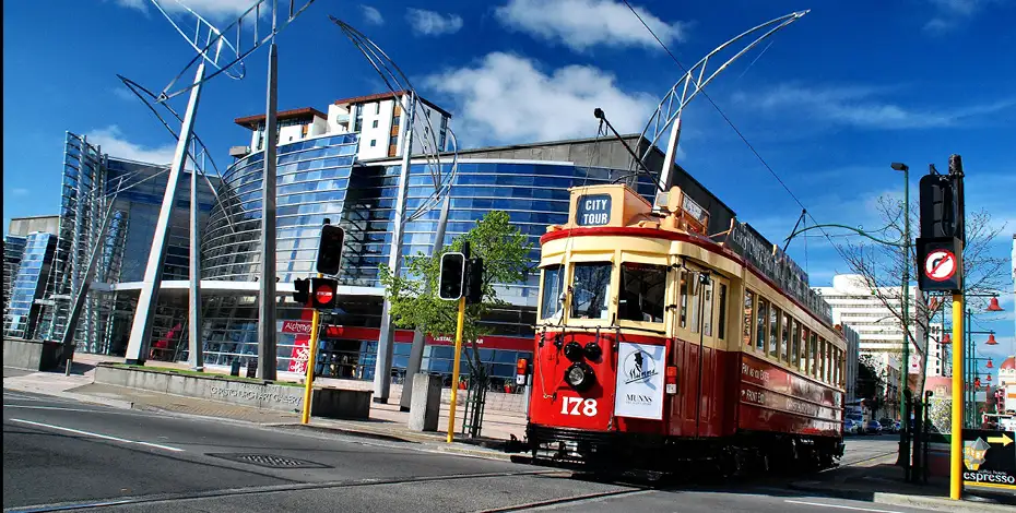 20 Day Tui Tour | Auckland to Christchurch | Stray