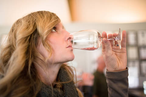 Taste of Wanaka Wine Tour Discount