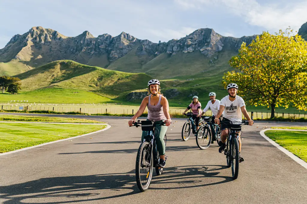 Napier Bike & E-Bike Hire – Half or Full Day