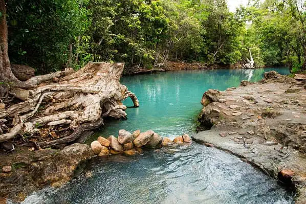 Cairns waterholes