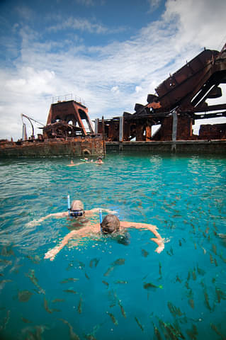 Moreton Island Tangalooma Snorkeling