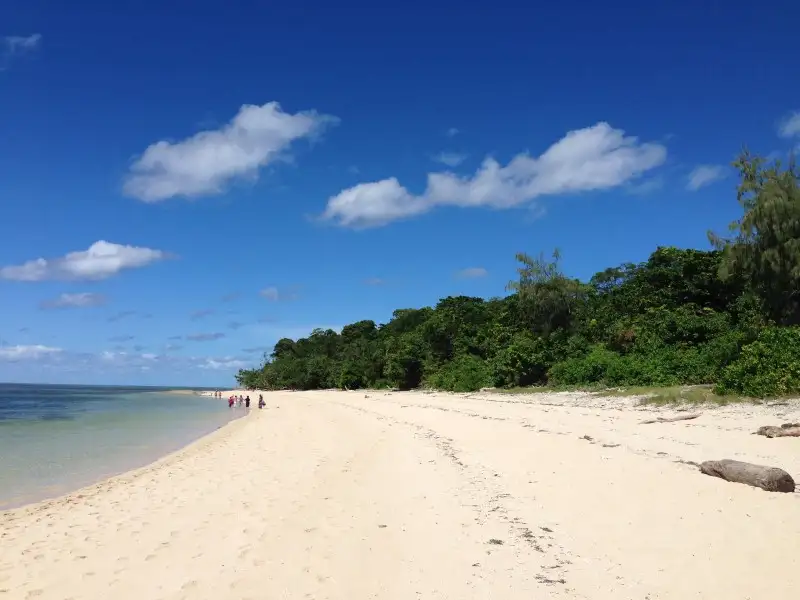 Green Island Eco Tour with Seawalker options