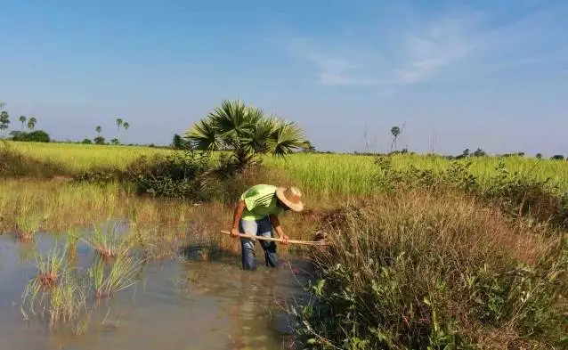 The Unseen Cambodia: Countryside Day Tour