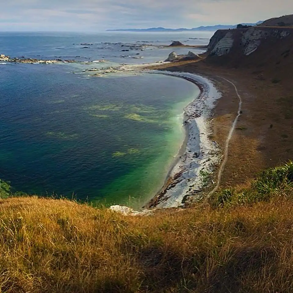 'Queen Bee' Bus Pass | Queenstown to Auckland| Kiwi Experience