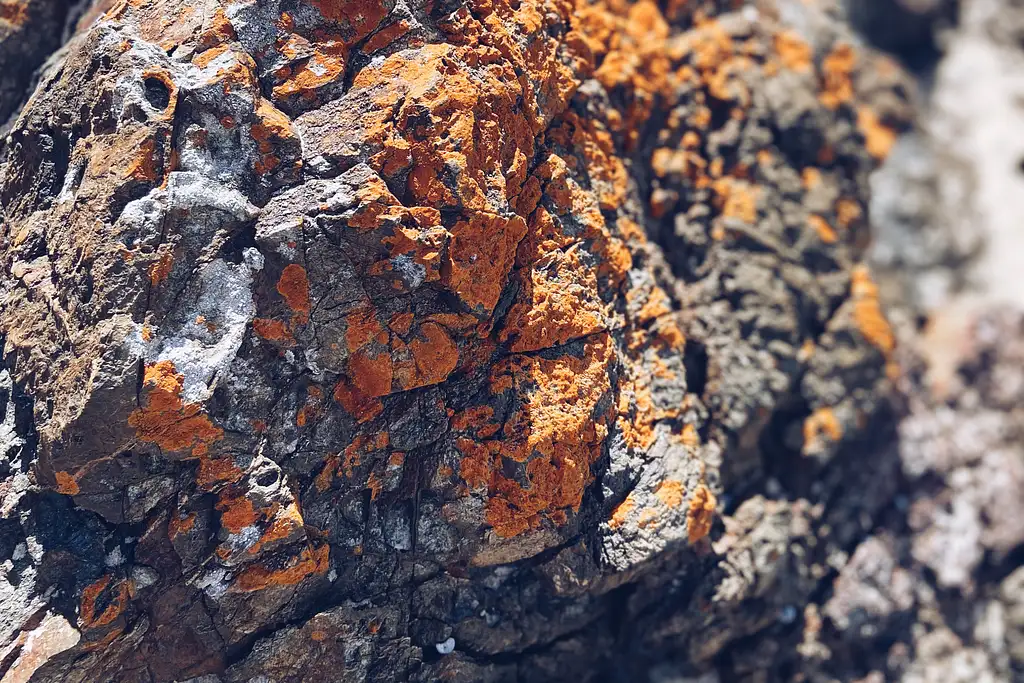 Broken Head Aboriginal Tour | Byron Bay