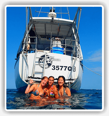 deal great barrier reef snorkel tour