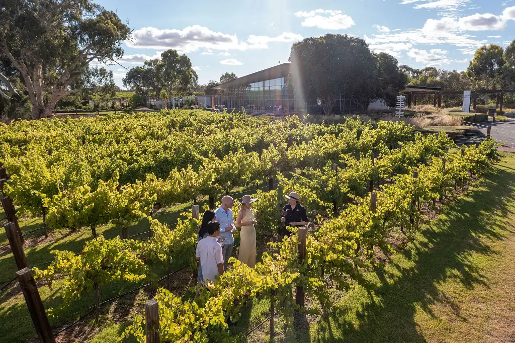 Jacob's Creek Picnic Perfect - Barossa Valley