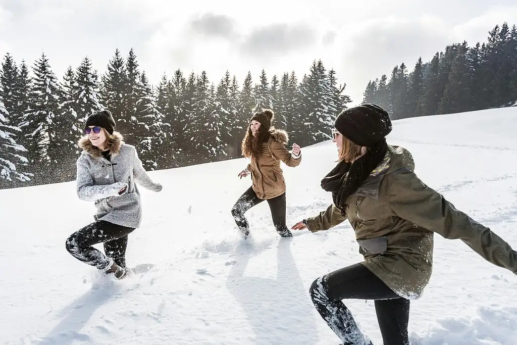 Mount Rigi Cogwheel Train Ticket - Swiss Activities Tageskarte Rigi | Mount Rigi Day Pass