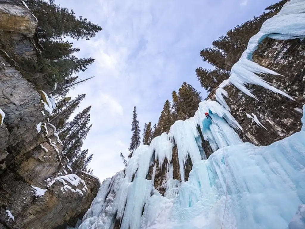 Banff Area And Canyon Guided Walking Tour