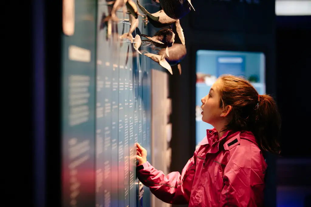 International Antarctic Centre Admission