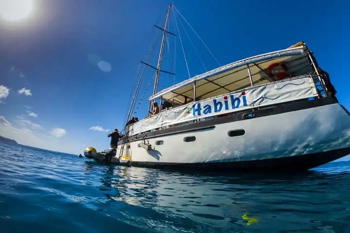 Habibi Whitsundays 2 Day 1 Night Sailing Tour from Airlie