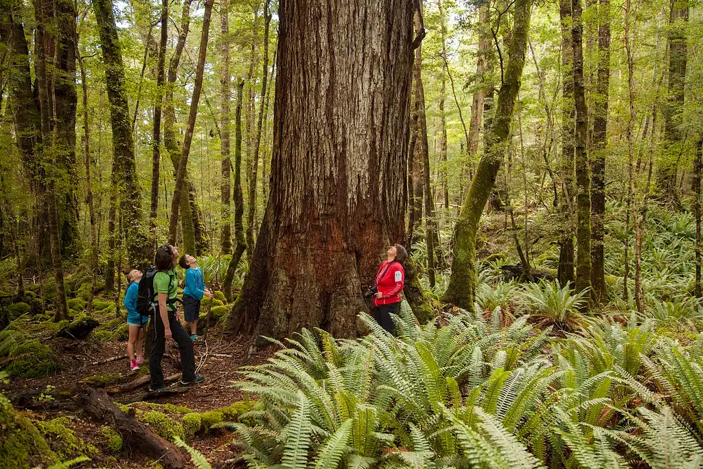 Kepler Track, Jet Boat and Hike | From Te Anau
