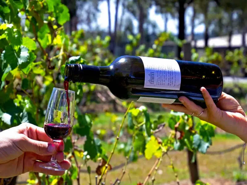 Hunter Valley Harvest Wine Experience ex Sydney