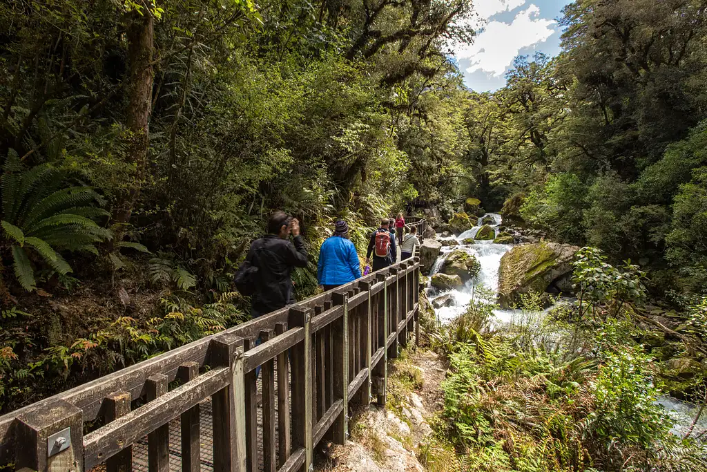 Milford Sound Day Tour from Te Anau - Coach, Cruise & Walk