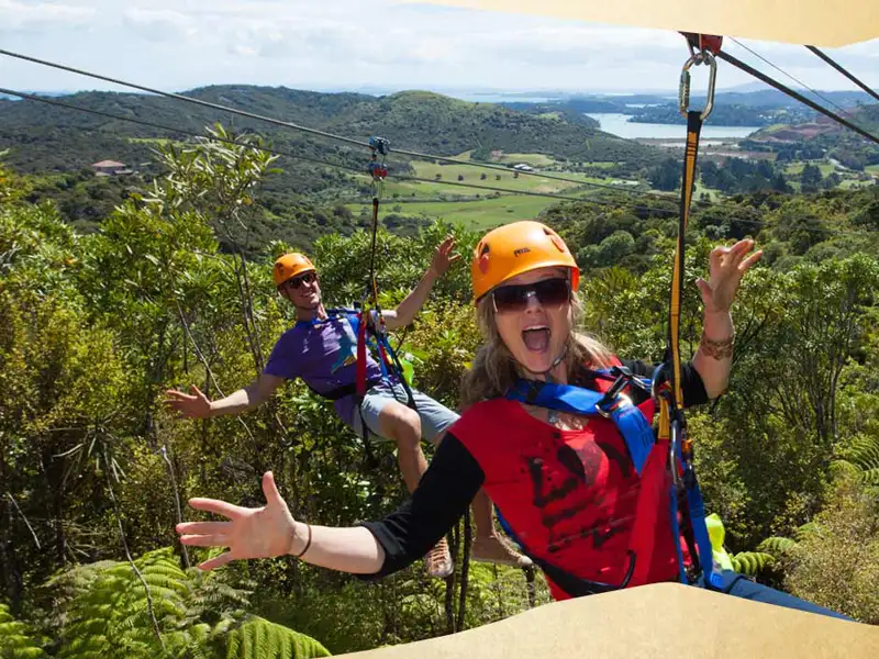 Waiheke EcoZip & Wine Tour