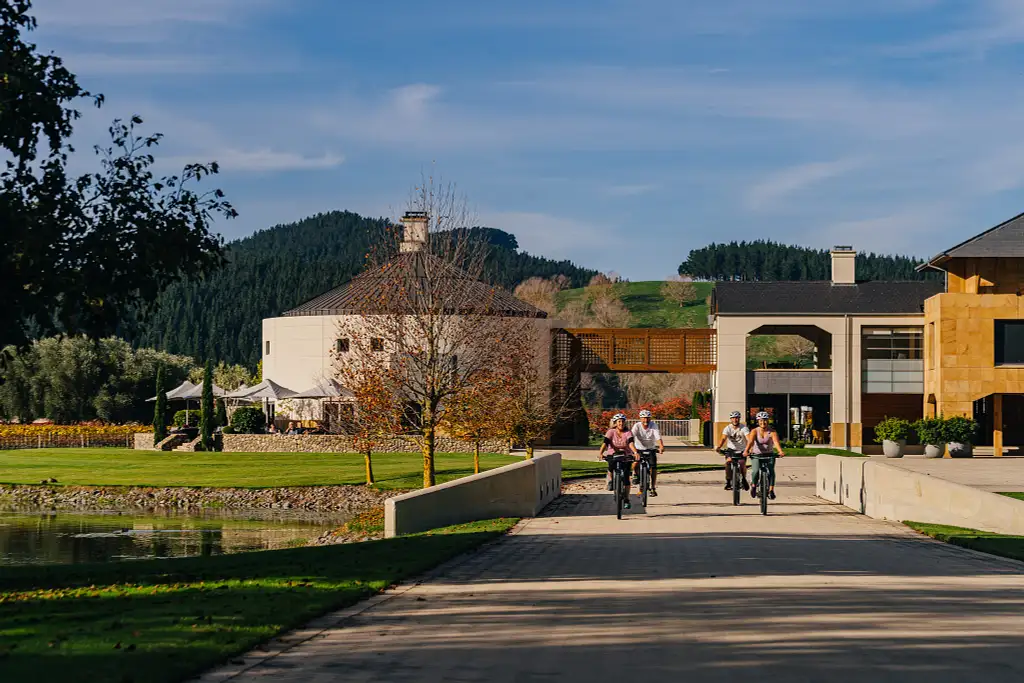 Ahuriri Napier Loop Cycling Tour