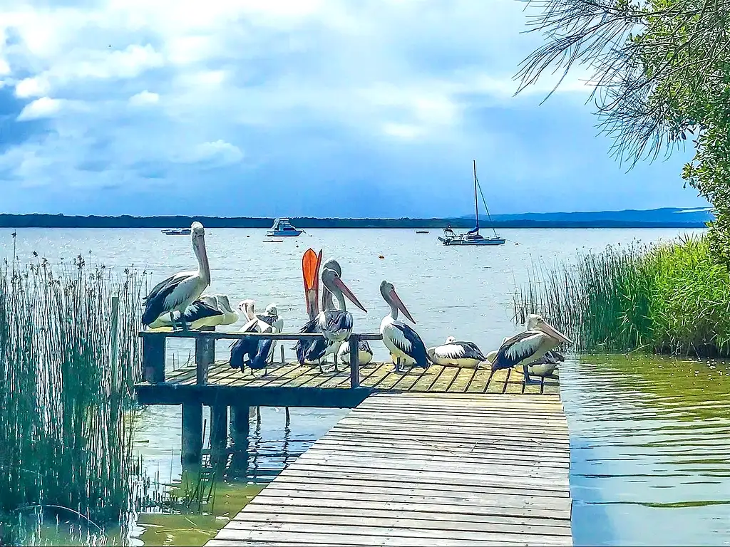 Noosa Hinterland with Gourmet lunch & Wine tasting - Day Tour