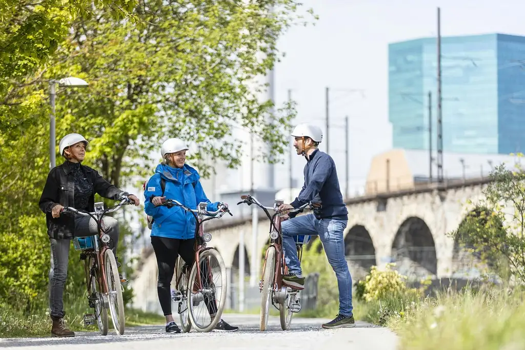 Guided E-Bike Tour in Zurich