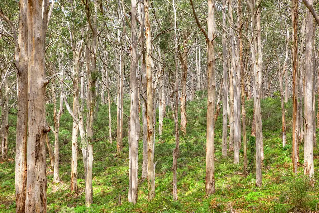 3 Day Margaret River Tour ex Perth