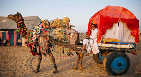 Pushkar - Discover North & South India