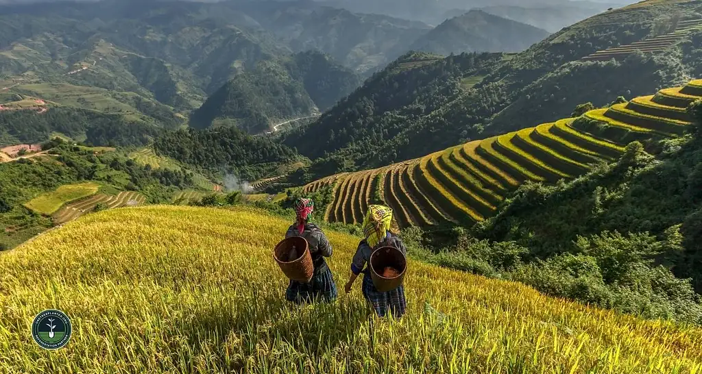 15 Day Vietnam Classic Ho Chi Minh to Hanoi | One Life Adventures