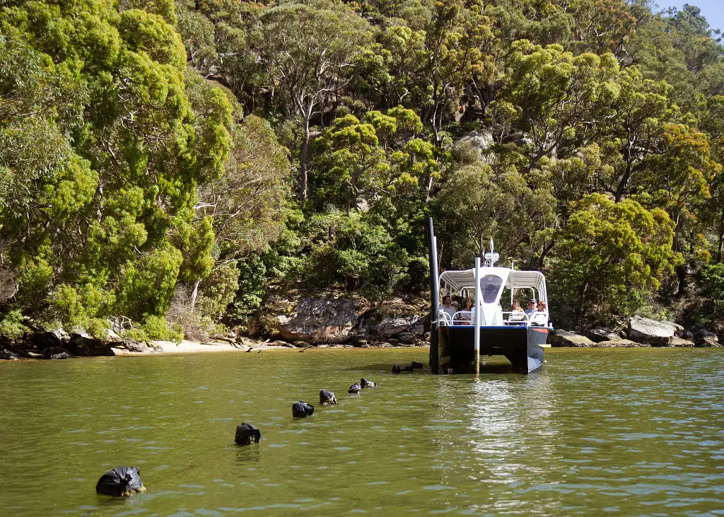 Broken Bay Oyster Farm Experiences - Oyster Tasting or Farm Tour