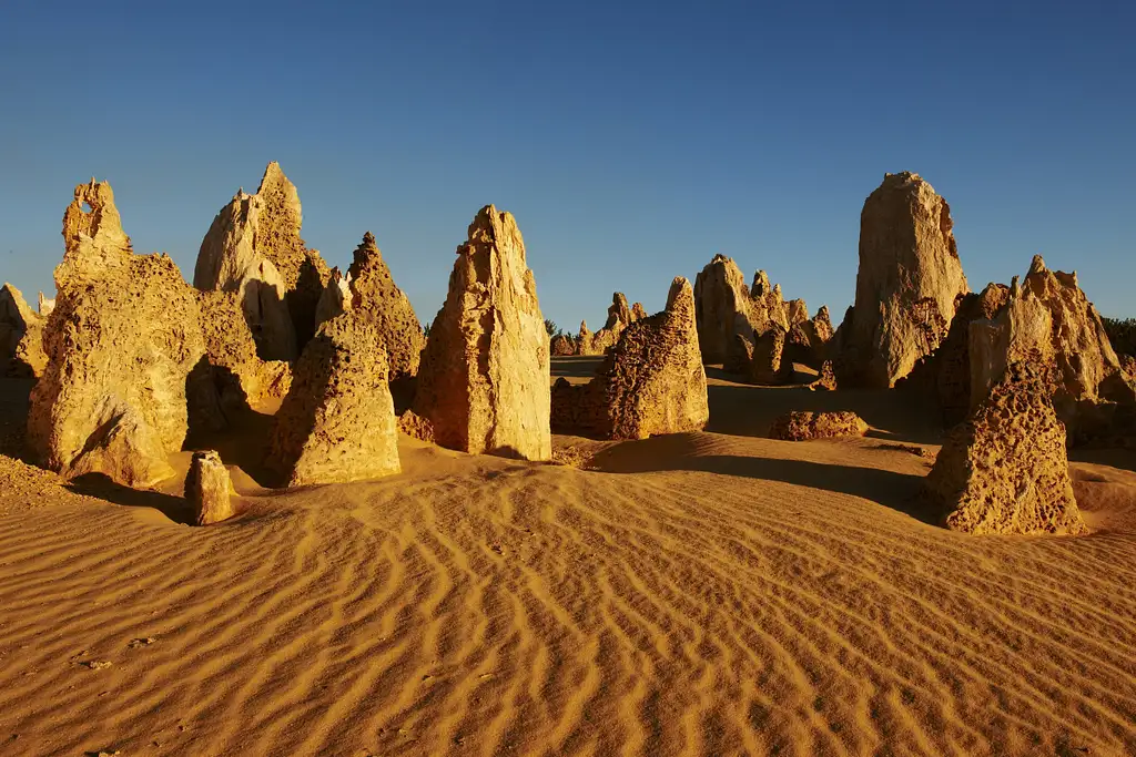 Pinnacles Sunset and Stargazing Tour | Dinner Included