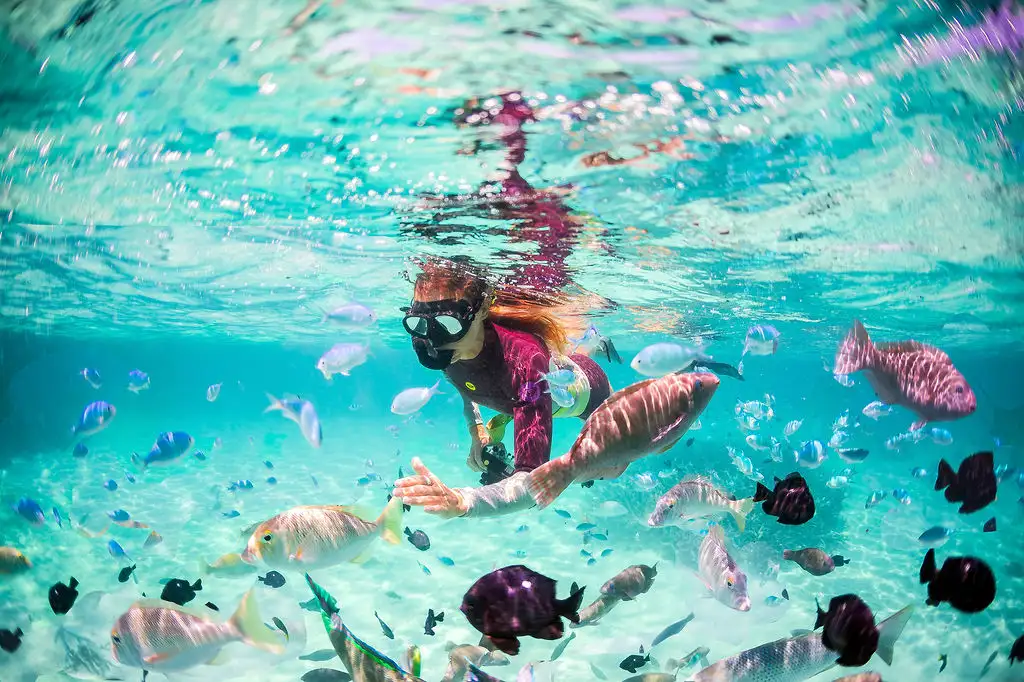 7 Day Perth to Ningaloo Reef & Return
