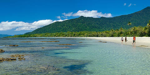 Daintree & Cape Tribulation Day Tour From Cairns