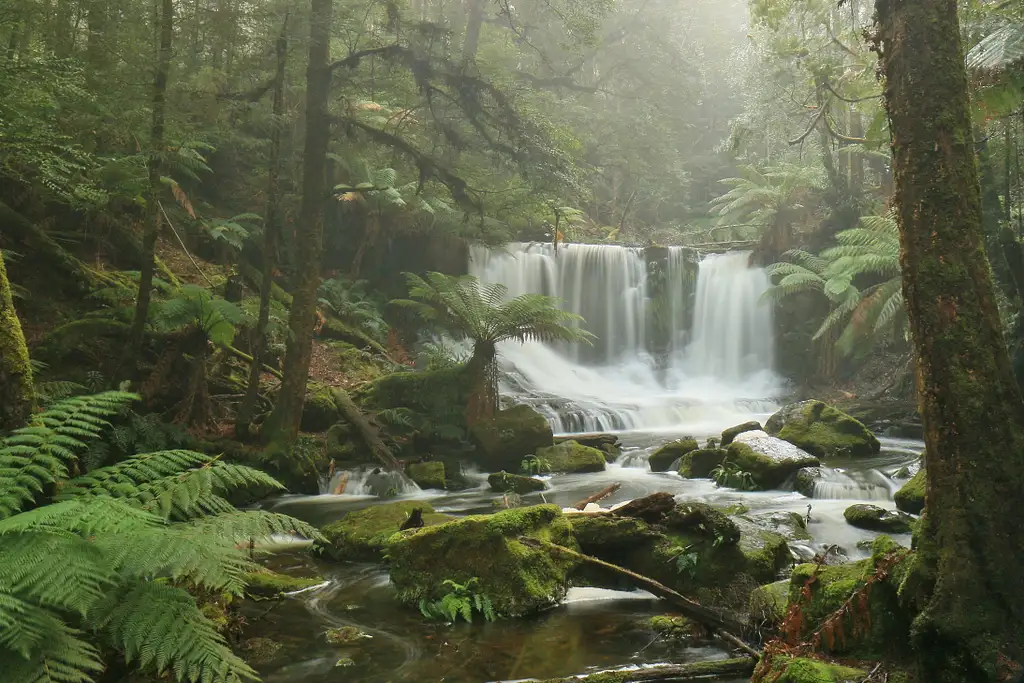 Mount Field, Mt Wellington & Wildlife Sanctuary Tour From Hobart