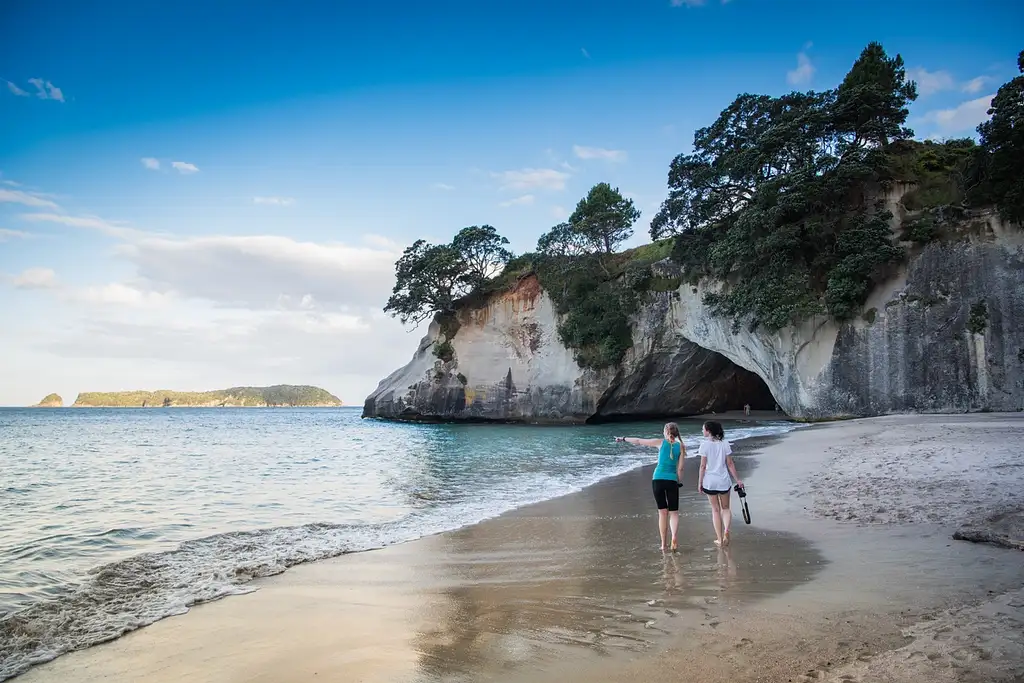 'Sheepdog' Bus Pass | Auckland to Christchurch | Kiwi Experience