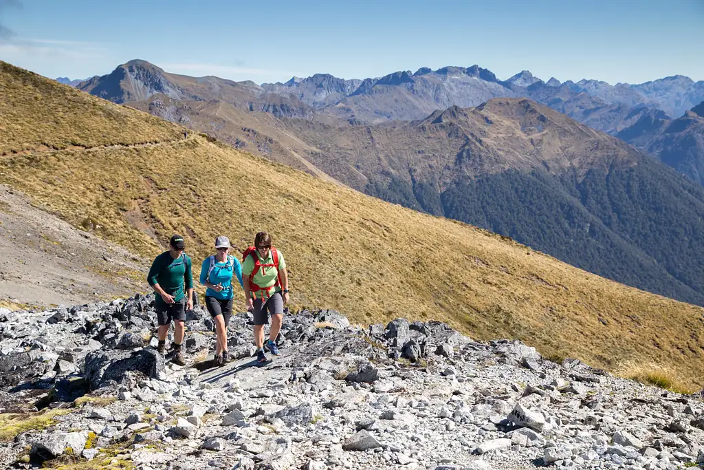Kepler Track Luxmore Guided Day Heli Hike | From Te Anau