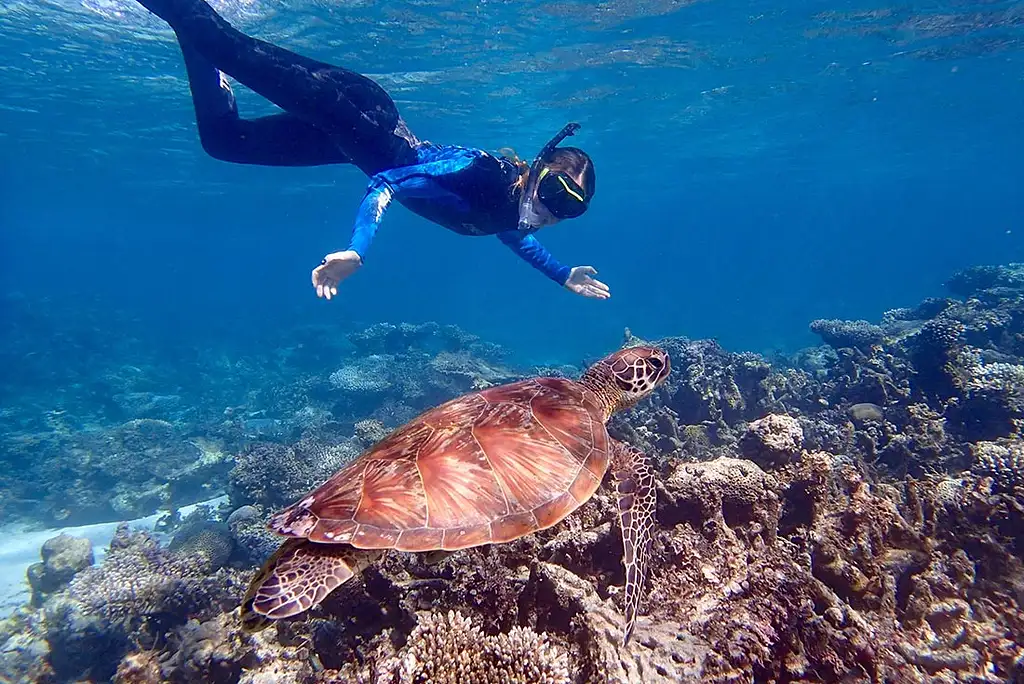 8 Day Ningaloo Reef And Pilbara Adventure