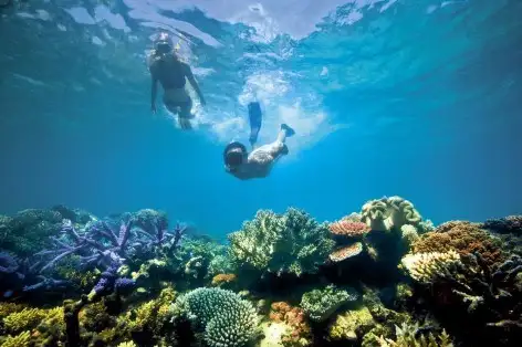 Fitzroy Island Full Day Tour