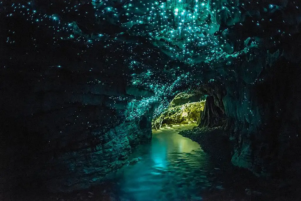 Hobbiton Movie Set & Waitomo Glowworm Caves | Auckland