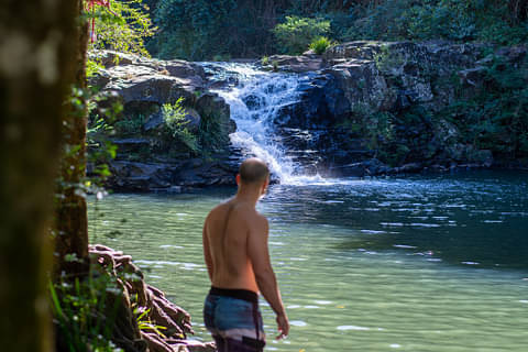 The Sunshine Coast Hinterland Adventure