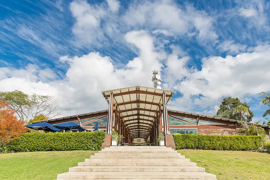 Mount Tamborine Wine Tour & Gourmet Lunch with Hop-on Hop-off bus | Gold Coast
