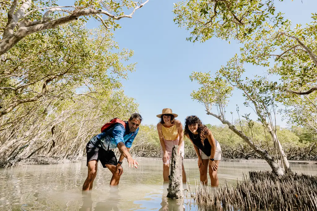 Broome Mangrove Discovery Experience