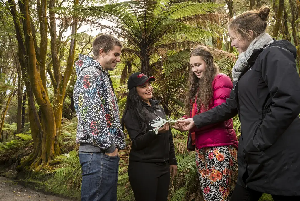 Hell's Gate Geothermal Walk Experience