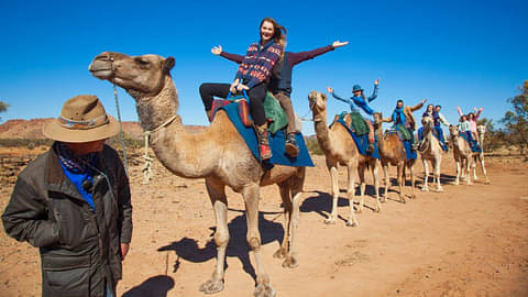 camel tours red centre